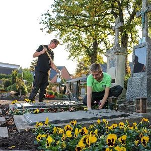 Friedhofsgärtnerei